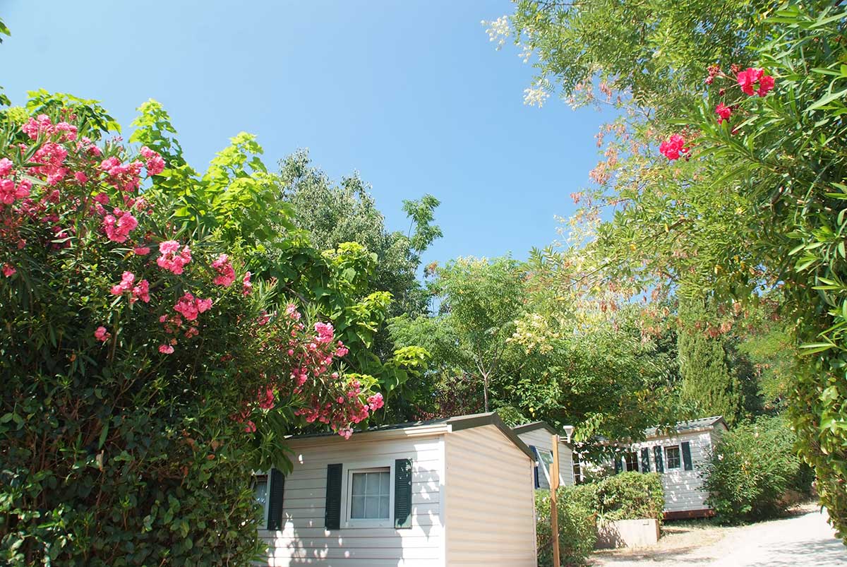 camping-toulon-piscine location mobil-home camping toulon